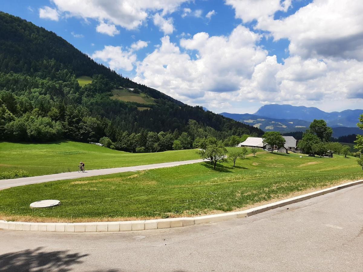 Hotel Grof Vransko エクステリア 写真